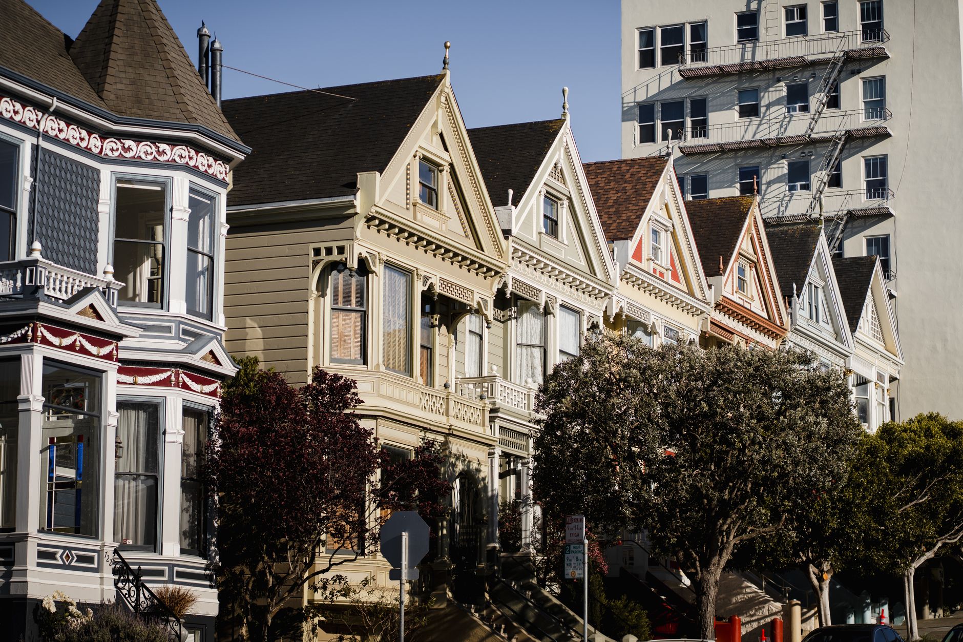 Foto banner Ray White Rentals menampilkan logo perusahaan dan properti sewa modern di pusat kota